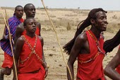 Maasai men tending to the herd africa,people,man,men,Maasai,horizontal,kenya,traditional
