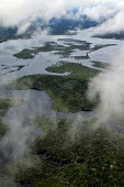 Aerial view of the Amazon rainforest and river, near Manaus brazil,latin america,forest,rainforest,amazon,aerial,spanish,forests,climate change,global warming,verticals,rainforests,water,wetlands,clouds