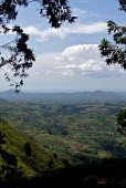 Landscape of Uganda africa,landscape,Uganda,forests,climate change,global warming,verticals,rainforests,degraded,framed,agricultural,uganda