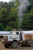 A truck ready to be loaded with logs in Gunung Lumut mountains,tree,truck,indonesia,rainforest,forests,timur,mla,verticals,kalimantan,gunung lumut,vehicle,logging,exhaust,fumes,pollution,gunung lumut mla cifor kalimantan timur indonesia truck forest rai