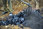 Charcoal is wood after being burned without oxygen africa,horizontal,close up,close-up,burn,charcoal,forests,climate change,global warming,cameroon,ovangoul,production,shallow focus,deforestation