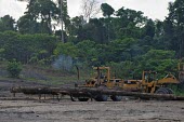 Log loader in operation forest,indonesia,log,logs,papua,climate change,mamberamo,horizontal,loader,forests,machinery,machine,logging,clearance,pile,timber,log pond,deforestation