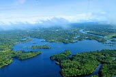 Aerial view of the Amazon Rainforest brazil,forest,river,amazon,rainforest,view,forestry,center,aerial,spanish,international,research,redd,forests,wetlands,green,blue