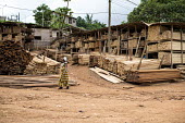 MonteÌe Parc Wood Market africa,cameroon,yaounde,horizontal,markets,wood market,market,urban,people,timber,planks,store,street,wood,deforestation