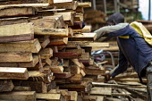 A wood seller at MonteÌe Parc Market africa,people,man,men,horizontal,timber,market,markets,commercial,cameroon,yaounde,wood market,seller,work,wood,lumber,industrial,shallow focus,closdeforestatione up,close-up