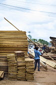 A wood seller at MonteÌe Parc Market africa,people,man,men,horizontal,timber,market,markets,commercial,cameroon,yaounde,wood market,seller,work,wood,lumber,industrial,deforestation