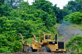 Log loader in operation Center for International Forestry Research (CIFOR) horizontal,log,logs,loader,papua,forests,climate change,mamberamo,machinery,machine,logging,forest,clearance,deforestation