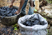 Cooling charcoal in a forest near Ovangoul village africa,horizontal,close up,close-up,burn,charcoal,forests,climate change,global warming,cameroon,ovangoul,production,bowl,sack,deforestation