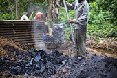 Charcoal burner and his assistant cooling the charcoal africa,people,man,horizontal,forest,equipment,burn,charcoal,environment,forests,climate change,global warming,cameroon,work,production,cooling,shallow focus,action,threat,fork,deforestation
