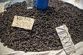 Bushmeat (earthworm) africa,market,congo,drc,earthworm,caterpillars,larvae,livelihoods,democratic republic of congo,bushmeat,bush meat,lukolela,stall,for sale