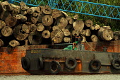 A barge transporting logs in Central Kalimantan wood,people,man,Indonesia,boats,boat,barge,logs,redd,water,transportation,central kalimantan,timber