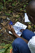 Scientist examines an African Pygme Kingfisher africa,people,bird,birds,forest,flickr,research,scientists,democratic republic of congo,kisangani,ispidina picta,yoko forest reserve,african pygme kingfisher,Animalia,Chordata,Aves,Coraciiformes,Alced