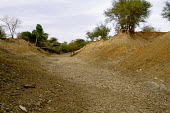 A tributary of the Nouhou river dried up due to the low water level road,trees,river,tributary,Africa,horizontal,dry,climate change,cracked,Burkina Faso,Boromo,Nouhou River,mud,riverbed,low,water,levels,dried,CIFOR,forest research,adaptation,production forests