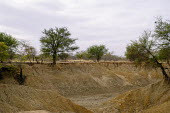 A tributary of the Nouhou river dried up due to the low water level road,trees,river,tributary,Africa,dry,climate change,cracked,Burkina Faso,Boromo,Nouhou River,mud,riverbed,low,water,levels,dried,landscape,CIFOR,forest research,adaptation,production forests