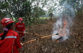 Practicing using equipment to put out flames during a fire drill people,horizontal,women,central,environment,practice,activity,redd,forests,global warming,kalimantan,community involvement,equipment,safety,fire,forest fire,putting out,fire drill
