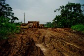 Logs near a local road in Napo Province road,wood,trees,horizontal,wooden,Ecuador,Spanish,land,environment,napo,climate change,deforestation,horizontals,deforested,logs,mud,dirt,track,log pile