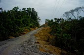 A road under construction near Misahualli new,road,construction,trees,horizontal,Ecuador,Spanish,napo,climate change,deforestation,horizontals,misahualli