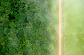 A bird's eye view of the stark contrast between the forest and agricultural landscapes near Rio Branco Center for International Forestry Research (CIFOR) road,rainforest,rainforests,logging,pasture,climate change,cattle farming,Brazil,Latin America,aerial,spanish,acre,deforestation,contrast,forest,forests,agricultural,agriculture,landscapes,landscape,green,looking down,birds eye view,rio branco