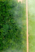 A bird's eye view shows the contrast between forest and agricultural landscapes road,rainforest,rainforests,logging,pasture,climate change,cattle farming,Brazil,Latin America,aerial,spanish,acre,deforestation,contrast,forest,forests,agricultural,agriculture,landscapes,landscape,g