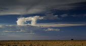Gateway to the heavens? Etosha! landscape,national park,park,sky,clouds,cloud,heaven,horizon,atmosphere,Namibia,scrub,scrubland,grassland,plain,plains,day,daytime,blue sky,nimbus,baron,peaceful,savannah,savanna