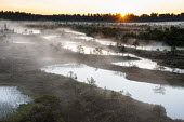 Wetland habitat at sunrise, Endla Nature Reserve, Jrva region, Estonia Wetland,wetlands,habitat,habitats,landscape,endangered habitats,water,sunrise,dawn,trees,tree,mist,misty,breeding ground