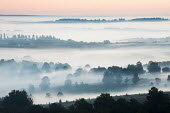 Dawn mist over mixed woodland, Ashdown Forest, Sussex, England dawn,mist,misty,sunrise,morning,fog,foggy,cloud,clouds,weather,climate,woods,woodland,fields,farmland,UK,England,Sussex,forest,forests,horizon,atmosphere,atmospheric