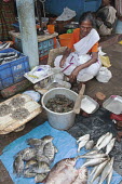Indian woman cleaning and de-scaling various types of fresh fish for sale fish market,fish,market,for sale,sale,crabs,crab,fishing,overfishing,prawns,shrimp,human,people,Abundance,Freshness,Choice,Preparation