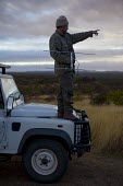 A researcher standing on a Land Rover while tracking African wild dogs using radio telemetry equipment savannah,savanna,Africa,conservation,monitoring,tracks,tracking,radio tracking,warden,human,African wild dog,Lycaon pictus,Carnivores,Carnivora,Mammalia,Mammals,Chordates,Chordata,Dog, Coyote, Wolf, F