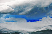 Beautiful coloured icebergs in the Antarctic iceberg,ice,snow,cold,snowy,cold weather,winter,Christmas,freezing,frozen,landscape,habitat,climate change,global warming