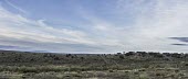 Panorama of a soft release enclosure in Extremadura landscape,scenery,panoramic,sky,blue sky,scrubland,scrub,arid,dry,habitat,cage,enclosure,project,captive breeding,Iberian lynx,lynx,release,soft release