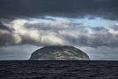 Ailsa Craig off the west coast of Scotland is home to 36 000 pairs of Northern gannets island,habitat,colony,seabird,seabirds,bird,birds,cloudy,grey sky,landscape,seascape,Scotland,Firth of Clyde