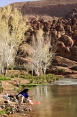 Woman washing clothes in the river of the picturesque Dades Gorge in the Atlas mountains ecosystem,habitat,environment,landscape,Morocco,Africa,stream,river,freshwater,water,people,humans,living,settlement
