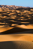 Scenic view of sand dunes in the Erg Chebbi area of the Sahara desert ecosystem,habitat,environment,landscape,Morocco,Africa,sand,sand dunes,dunes,desert,shadows,shade,arid,dry