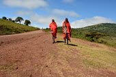 Two cattle herders walking along a path, Africa Human,Homo sapiens