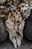 Muti market in Africa selling animal parts skulls,skull,muti,carcass