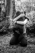 Ape Action Africa sanctuary in Cameroon tropical,Tropical rainforest,tropics,tropic,jungles,jungle,forests,Forest,Terrestrial,ground,Affection,affectionate,Happy,joyful,rain forest,tropical rainforest,tropical forest,Rainforest,friendly,Fri