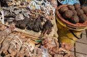 Muti market in Africa selling animal parts Persecution,Dead,Traditional medicine,Chinese medicine,traditional Chinese medicine,Trafficking,wildlife trafficking,animal trafficking,animal traffic,black market,wildlife traffic,hunting,Hunting imp