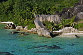 Aerial view of La Digue island - Seychelles coast,Coastal,coast line,coastline,saltwater,Marine,saline,tropics,Tropical,shoreline,Shore,sea shore,shoreland,sea side,environment,ecosystem,Habitat,beaches,Beach,Sea,seas,reef,Coral reef,tropic,ree