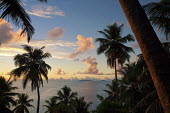 Palm trees at sunset - Seychelles