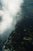 Aerial view of Victoria Falls - Zimbabwe Aerial,Waterfall,Spectacular,Light,Mist,Spray,Landscape,Formation,Geological,Water,River,Cliff