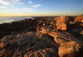 Dassen Island rocky shoreline - Dassen Island, South Africa Rocky shore,Coastal,Landscape,Rock,Rock formation