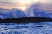Waves crashing and spraying up against rocks - South Africa Coast,Sea,Ocean,Rocky shore,Rocks,Waves,Crashing,Spray,Sunset