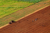 Aerial view of farmland - South Africa Martin Harvey Farmland,Farmworkers,Plantingm Lines,Green,Brown,Bare earth