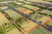 Aerial view of a graveyard and tombstones - Johannesburg, South Africa Aerial,Gravestones,Landscape,Remembrance,Rows,Order,Stones,Trees,Road