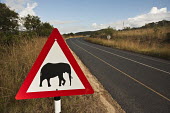 Elephants crossing sign along a highway - South Africa Road,Winding,Traffic control,Sign,Elephant crossing,Landscape,Tarmac,Information,Nobody,Animal representation,Prohibition sign,Vulnerable,Warning Sign,Warning