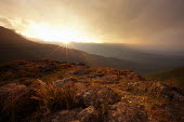 Sun set over the mountains of the Royal Natal National Park - South Africa colour,no people,sunset,Africa,African,Southern Africa,scenic,scenery,beauty in nature,natural world,non-urban scene,nature,outdoors,sunbeam,mountain,grassland